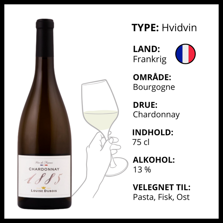 Louise Dubois 1885 Chardonnay – Hvidvin – produktvisning 2