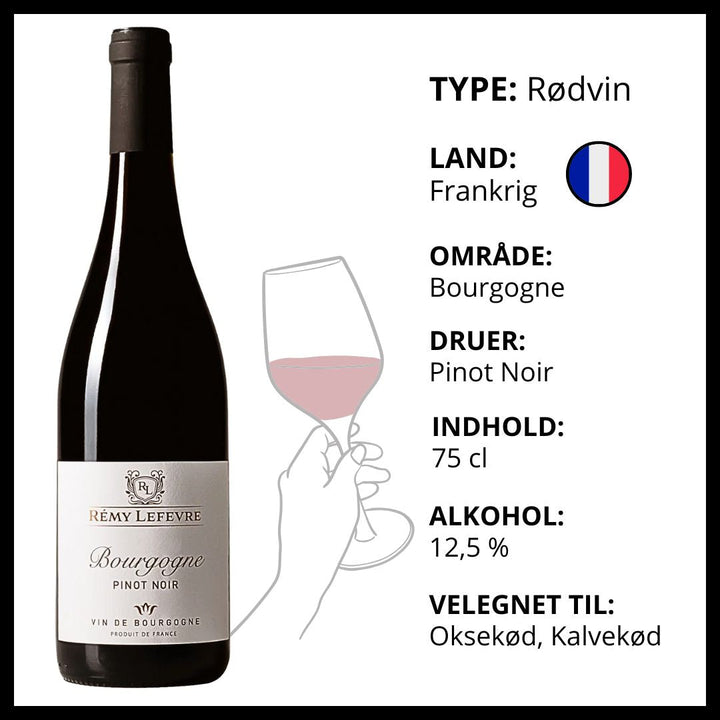 Rémy Lefevre Bourgogne Pinot Noir – Rødvin – produktvisning 2