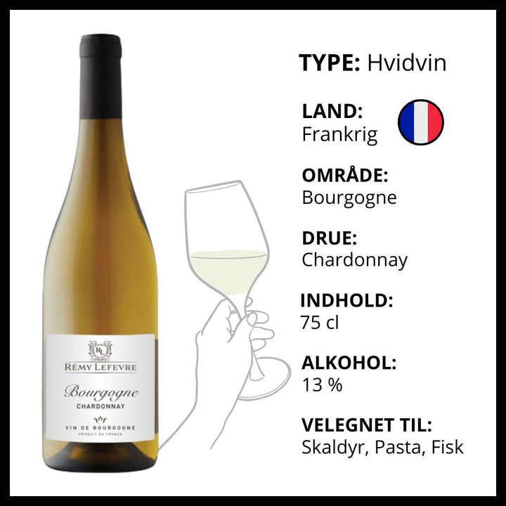 Rémy Lefevre Bourgogne Chardonnay – Hvidvin – produktvisning 2